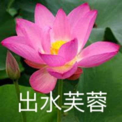 魅影传说手机版下载